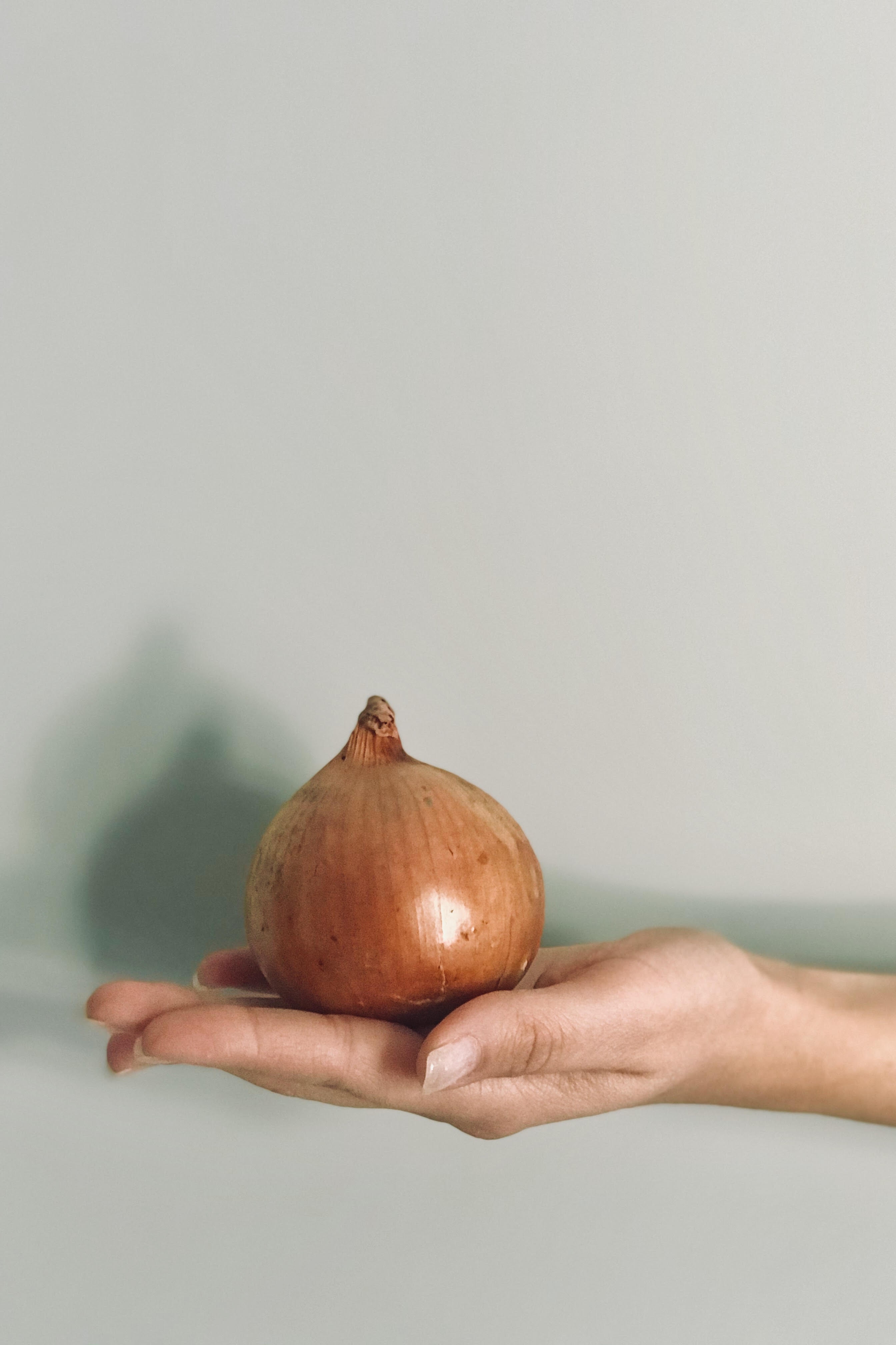 Onion сайт кракен