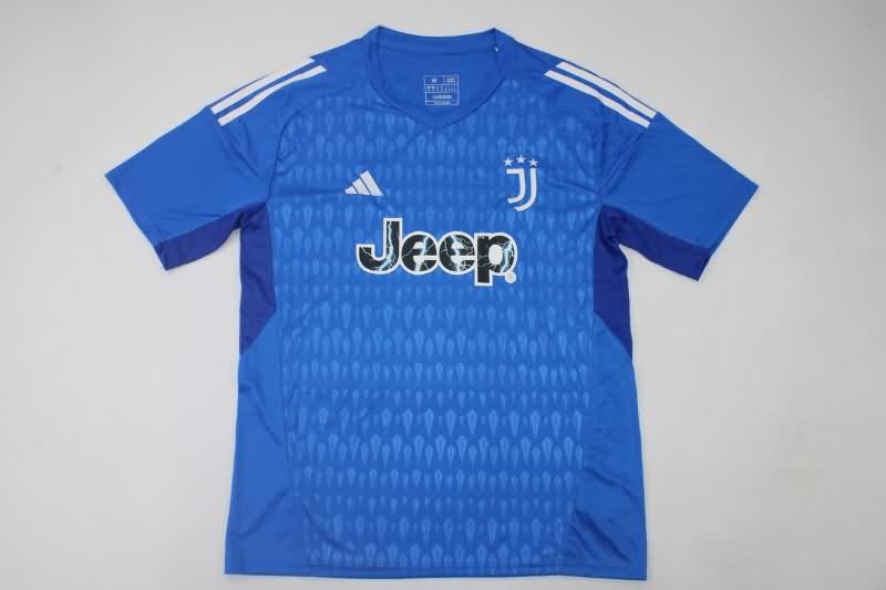 AAA Quality Juventus 23/24 Goalkeeper Blue Soccer Jersey
