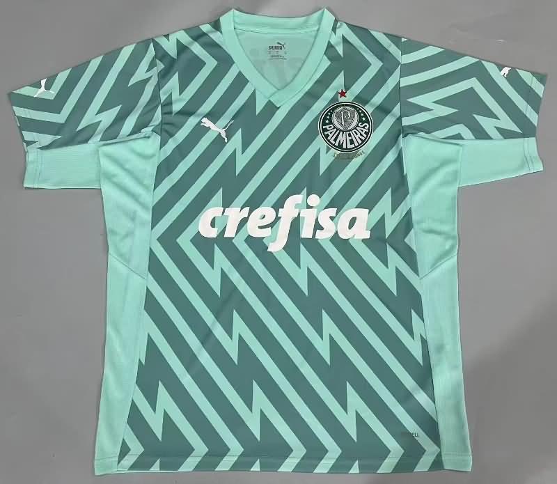 AAA Quality Palmeiras 2024 Goalkeeper Green Soccer Jersey