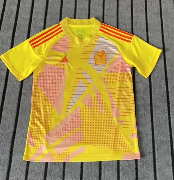 AAA Quality Mexico 2024 Copa America Goalkeeper Yellow Soccer Jersey