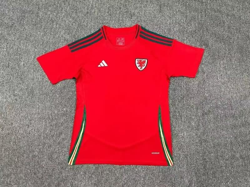 AAA Quality Wales 2024 Home Soccer Jersey